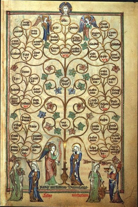 A <b>tree</b> of virtues ( arbor virtutum) is a diagram used in medieval Christian tradition to display the relationships between virtues, usually juxtaposed with a <b>tree</b> of vices ( arbor vitiorum) where the vices are treated in a parallel fashion. . De lisle family tree